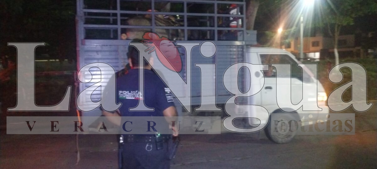 Camioneta que transportaba reses choca contra a taxi