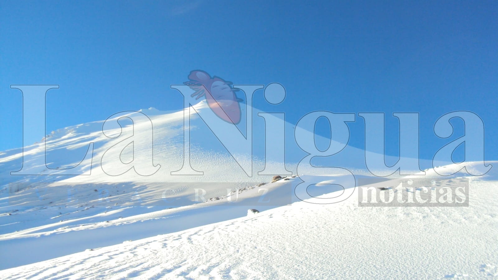 Desaparición del glaciar Jamapa en el Pico de Orizaba traerá graves riesgos ambientales y para el turismo de alpinismo 8 Imagen de WhatsApp 2024 10 07 a las 21.29.49 1bba6c2b