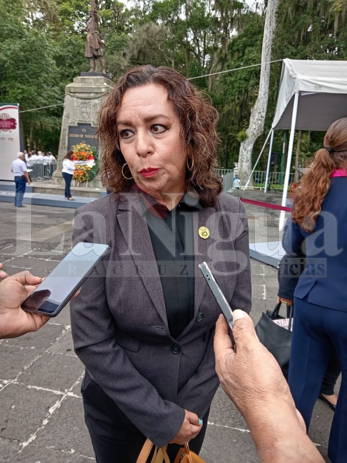 Reorganización del Equipo Político Veracruzano para Impulsar Aspiraciones Municipales