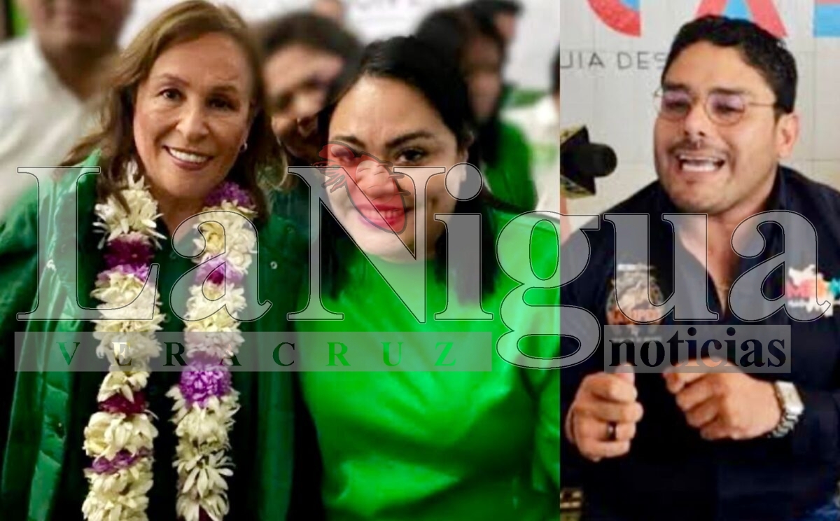 NUEVOS DIPUTADOS DE VERACRUZ, ¿CANDIDATOS?