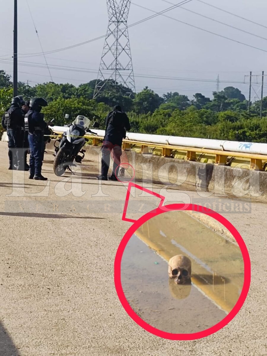 Abandonan craneo en un puente de la autopista Nuevo Teapa – Cosoleacaque