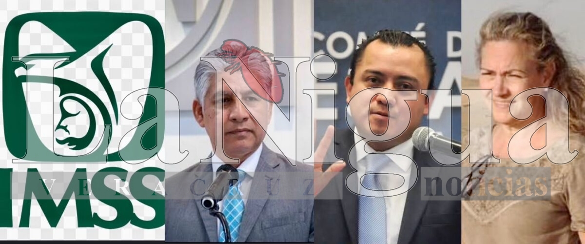 Habrá gran renovación dentro del IMSS