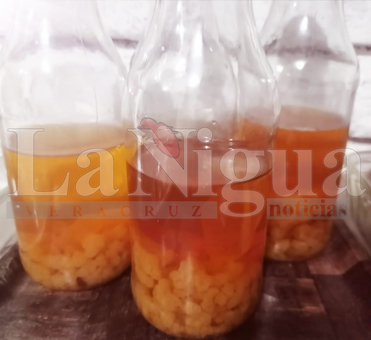 Fomento Agropecuario Imparte taller de  Cultivo de Probióticos