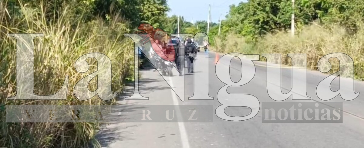 Encuentran cuerpo cercenado en bolsas negras, en Martínez de la Torre