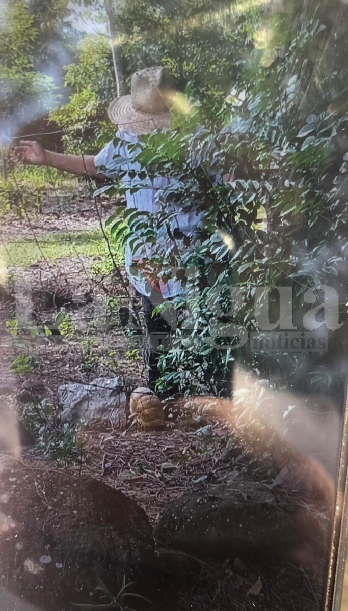 Captan a ladrón de frutos en norte de Padelma