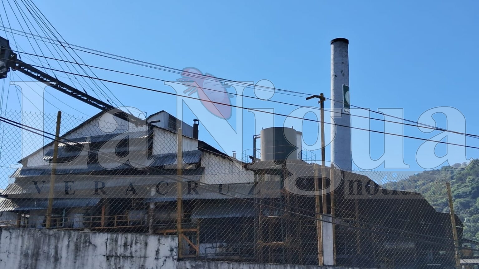 Trabajadores del Ingenio El Carmen en Crisis: Exigen Intervención del Gobierno para Resolver Incumplimientos de Pago