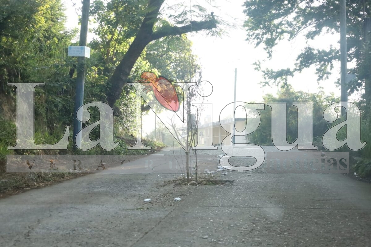 En Tantoyuca siembran arbolito navideño en los bache.