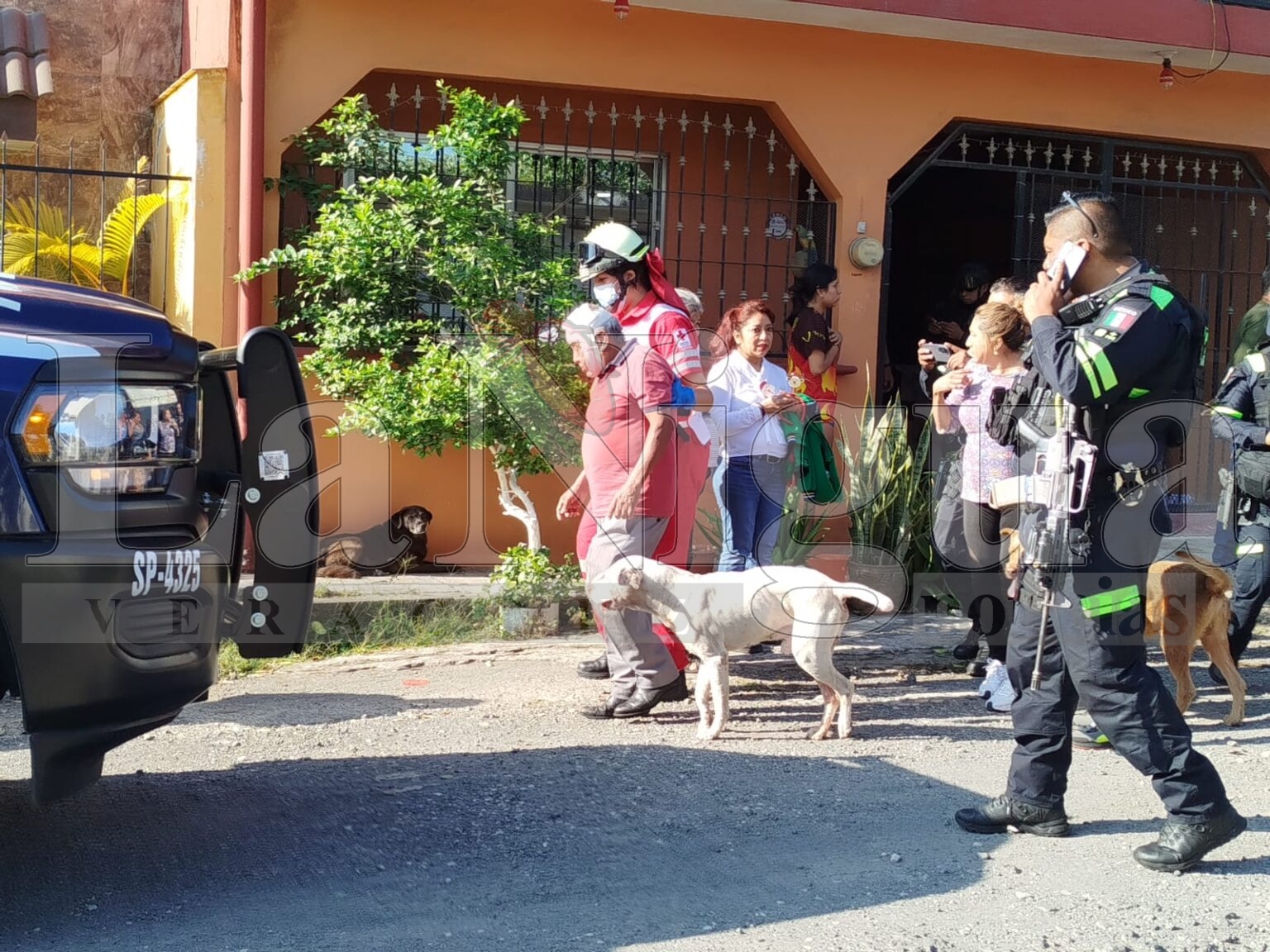 Hombre herido con pistola de balines tras pelea de perros en Córdoba