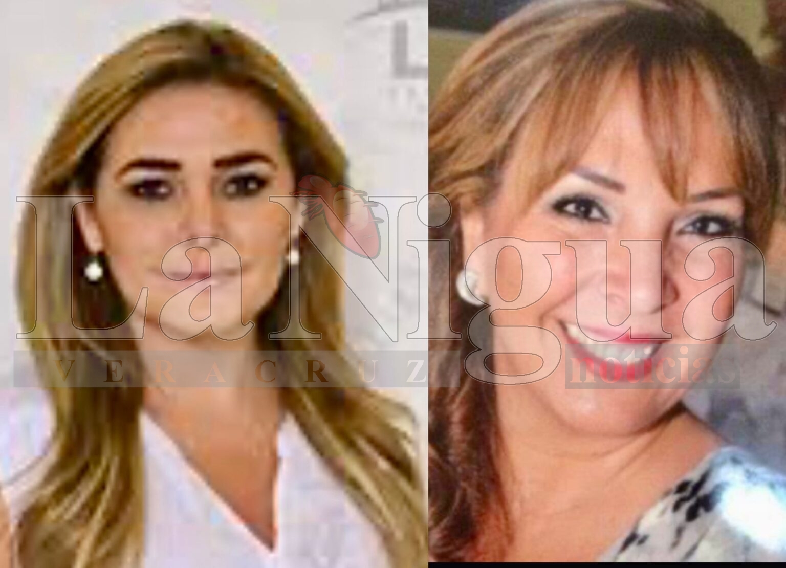 PAN DE VERACRUZ, ¿DESAPARECERÁ COMITÉ ESTATAL Y SERÁ DELEGACIÓN?