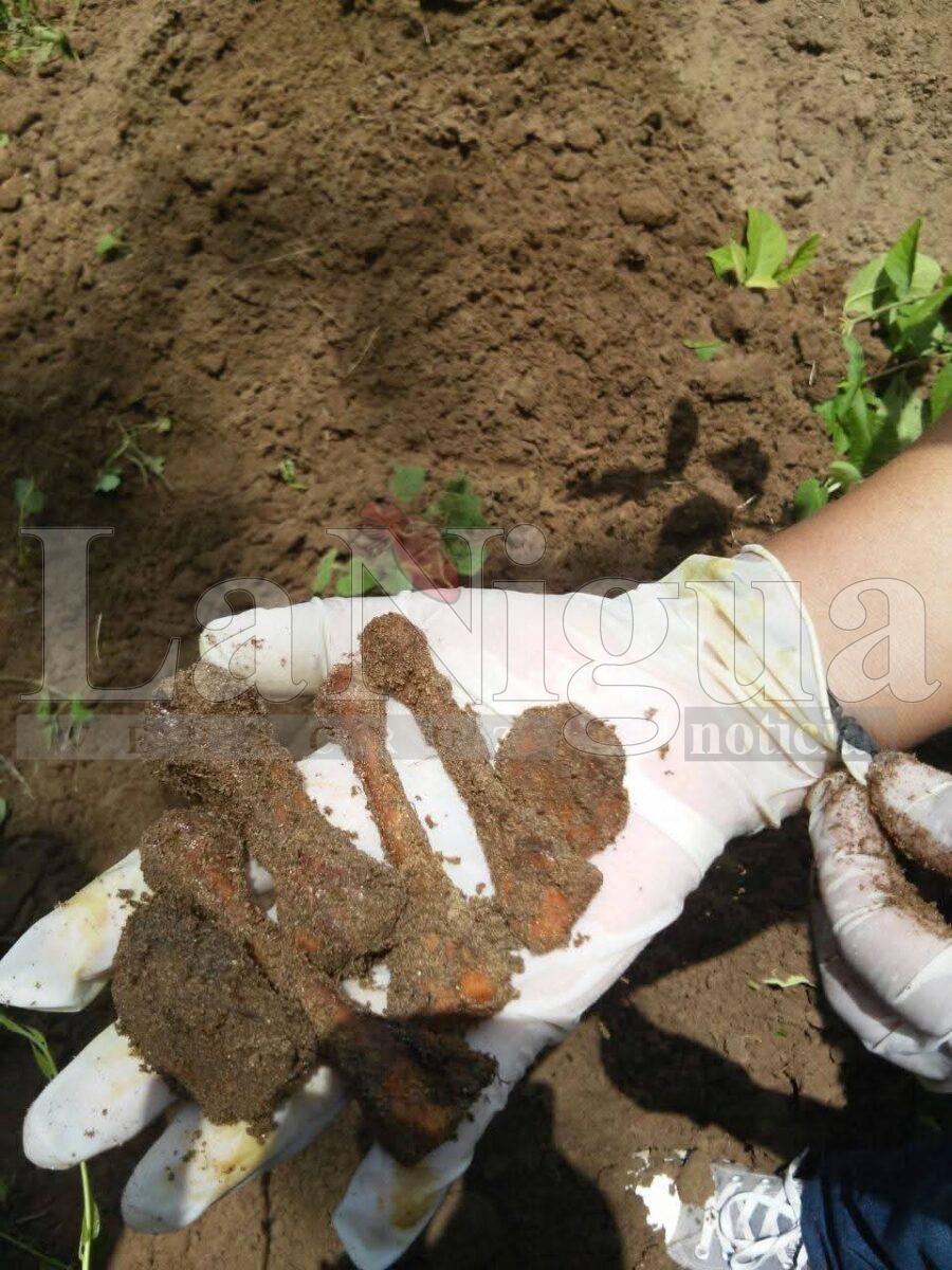 Aparece fosa clandestina en Hueyapan con 8 cuerpos desmembrados