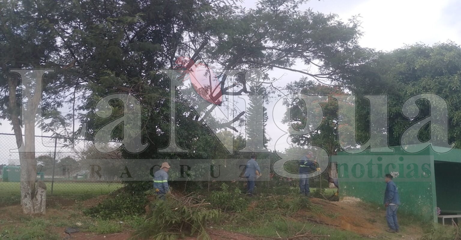 Quedó techado el Aviación 5 y derraman árboles del 4