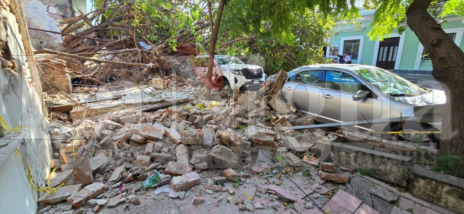 SE VENCE UN ÁRBOL Y DERRUMBA TRES CASAS Y PROVOCA DAÑOS EN TRES AUTOS ESTACIONADOS