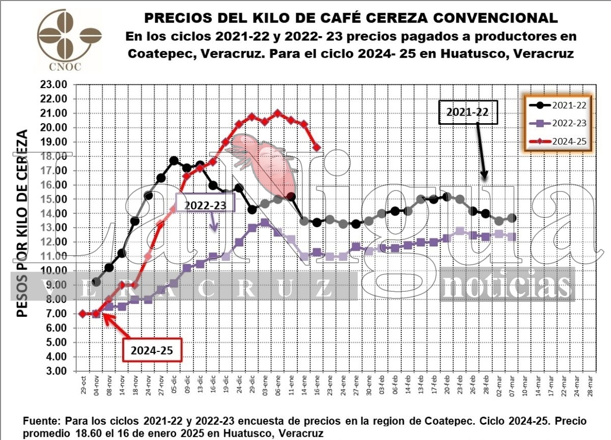 Enojo  en los productores por la baja generalizada de los precios pagados por el café cereza en Veracruz