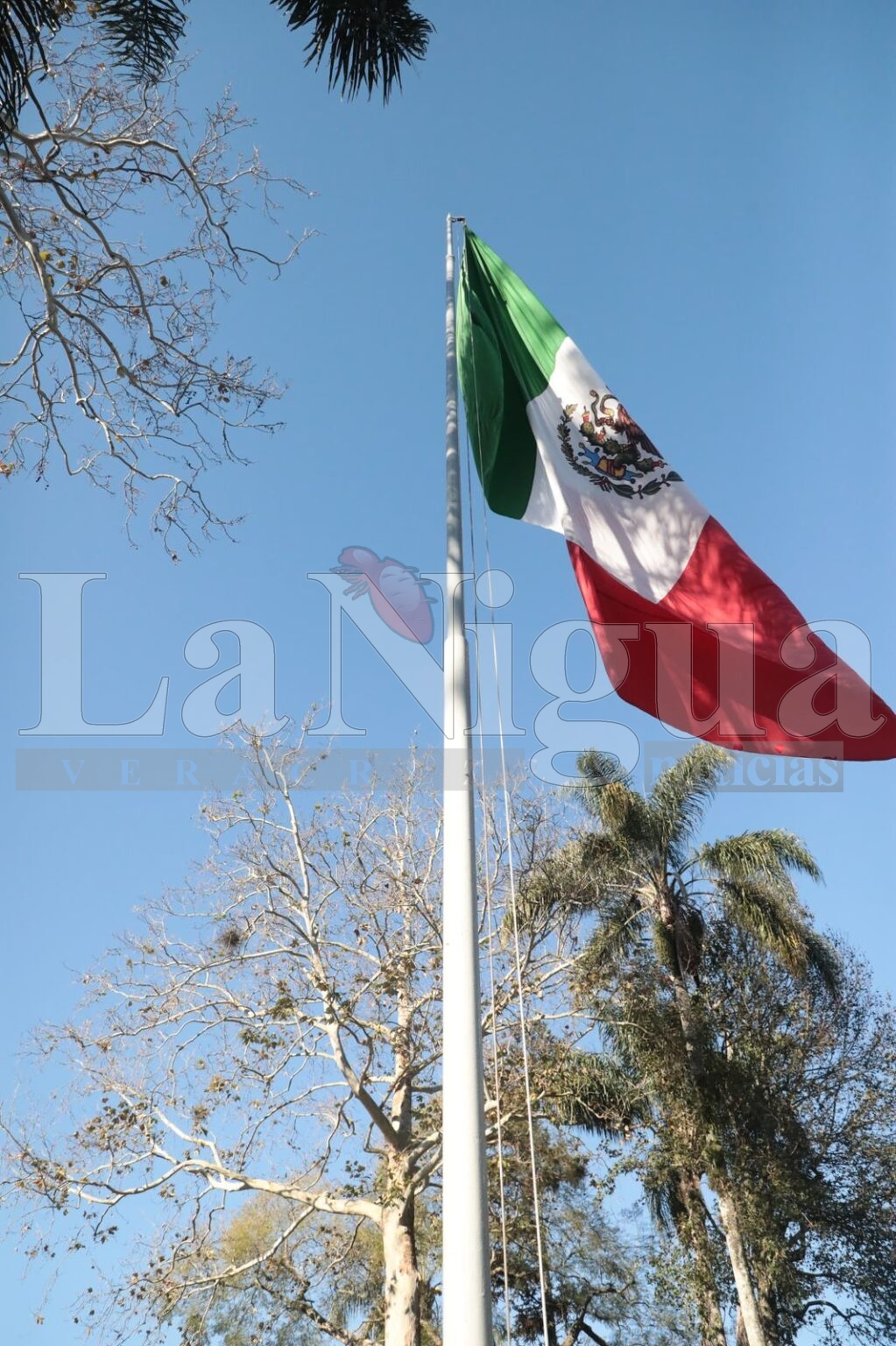 Gobierno del Estado rinde homenaje al Lábaro Patrio