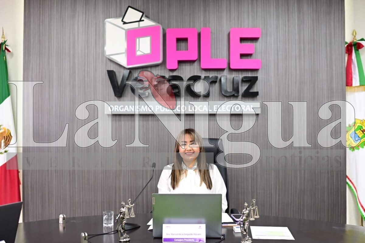 El 2 de febrero dará inicio el periodo de precampañas electorales, en Veracruz.