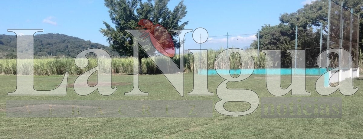 Aguilitas de Palmillas visita a los Yankees de Yanga