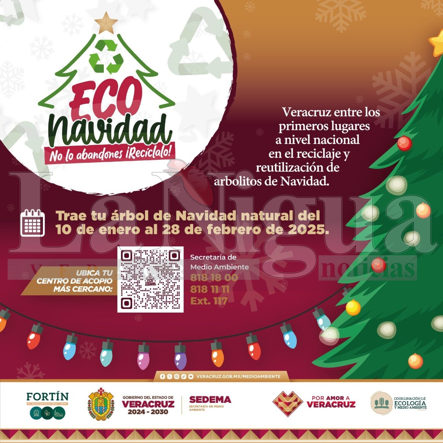 Instalarán módulo para reciclar pinos de navidad