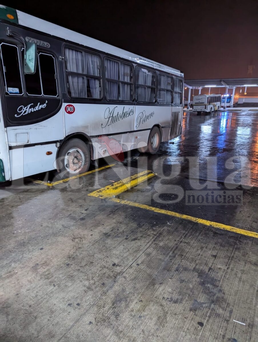 Reportan que autobuses de la línea Potrero dejan de dar servicio a Paso del Macho en las noches
