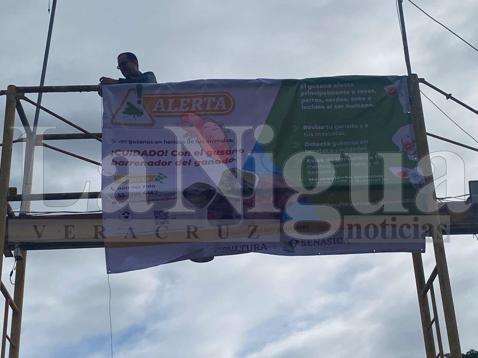 Gran avance en los Puntos de Verificación e Inspección de Sanidad Animal en el sur de Veracruz.