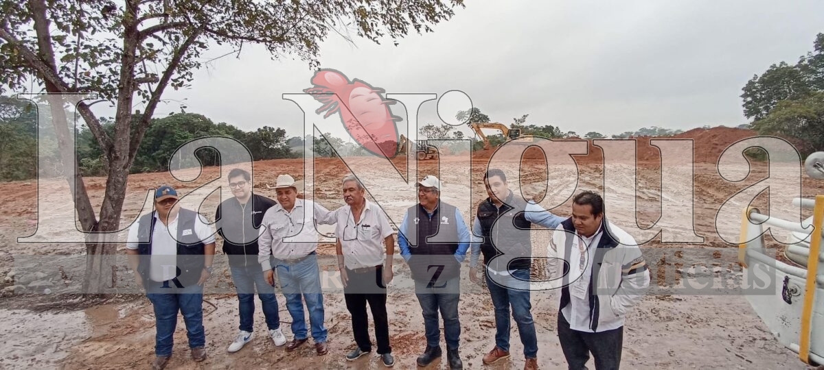 Refuerzan blindaje contra el gusano barrenador en la zona sur de Veracruz