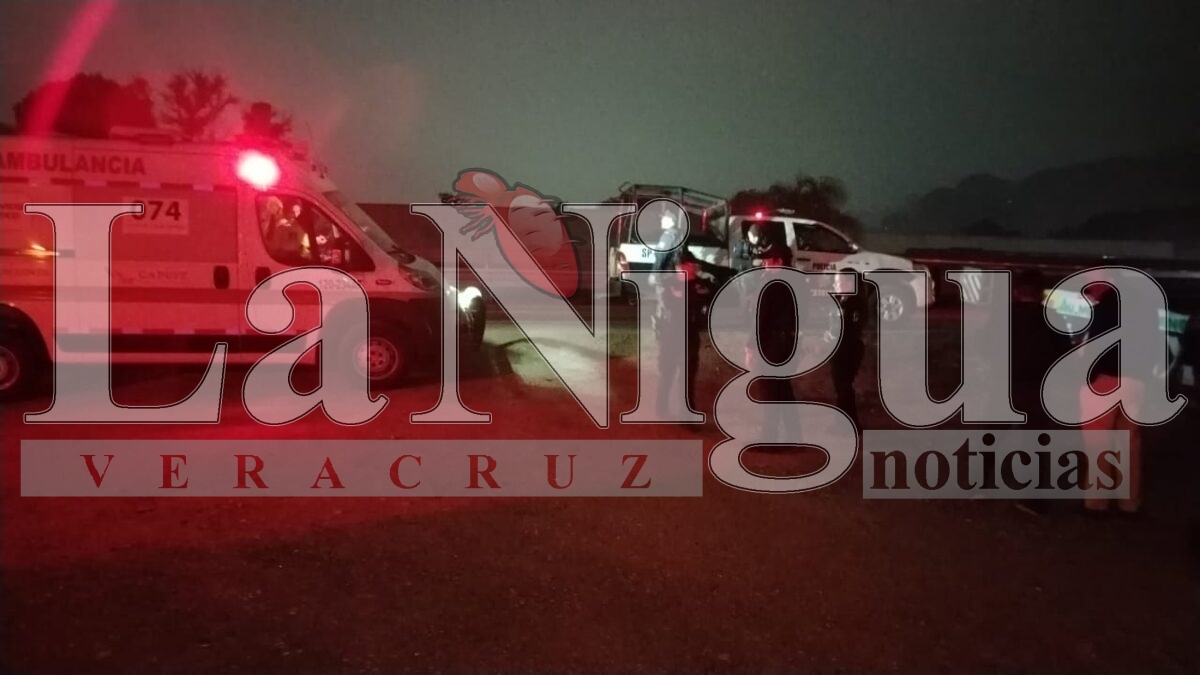 Persona muere atropellada en la autopista Córdoba-Orizaba; auto huyó del lugar