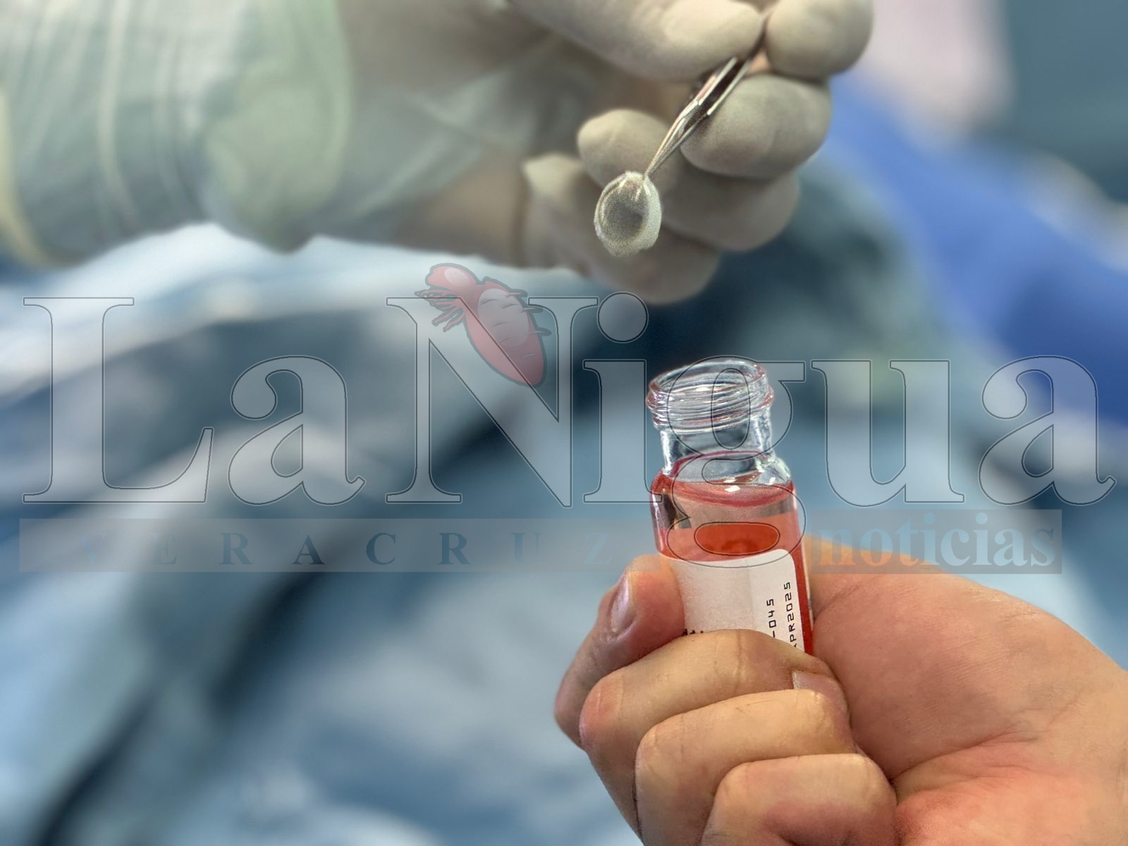 Realiza IMSS Veracruz Sur primera donación multiorgánica de 2025 4 IMG 20250209 WA0128