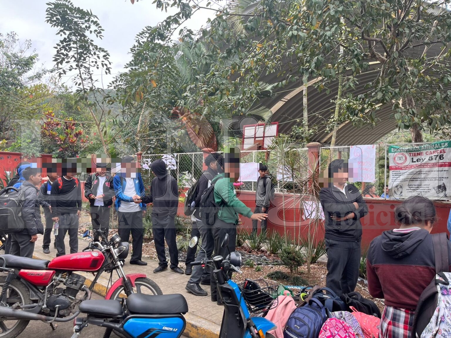 Toman paterfamilias Tebaev de Atoyac