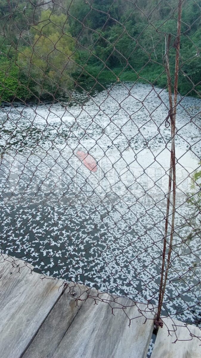 Reportan contaminación de Río Jamapa