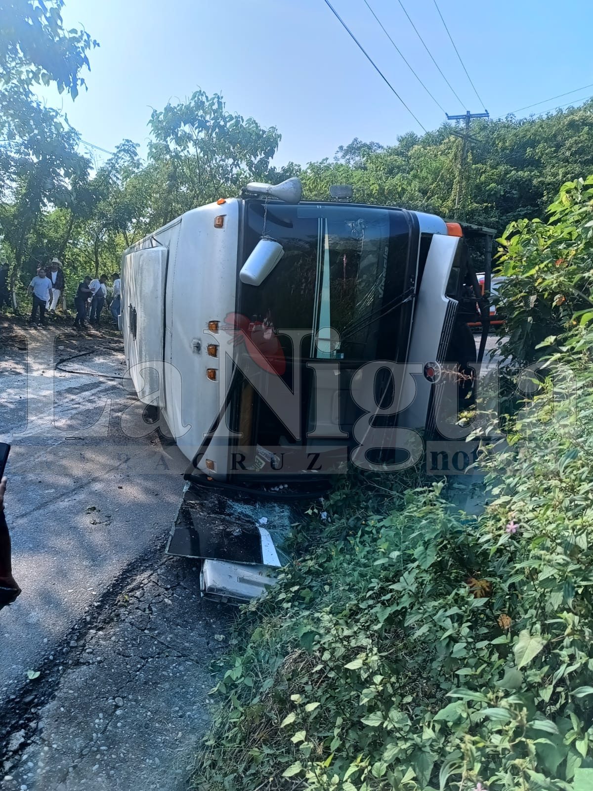 Aparatoso accidente de un autobús turistico en Filomeno Mata 3 Imagen de WhatsApp 2025 02 08 a las 12.21.49 4112dda6