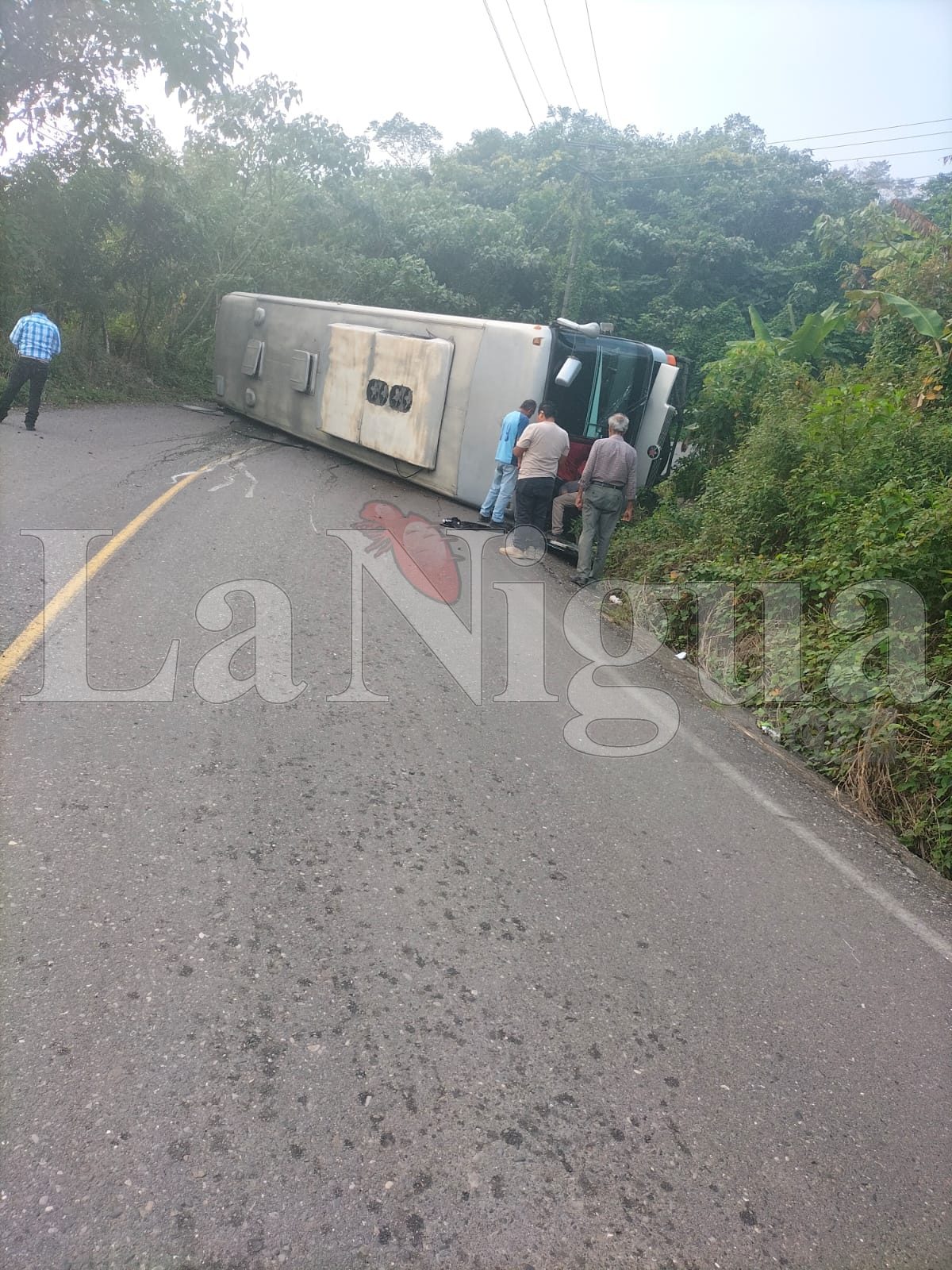 Aparatoso accidente de un autobús turistico en Filomeno Mata 4 Imagen de WhatsApp 2025 02 08 a las 12.21.49 952450e4