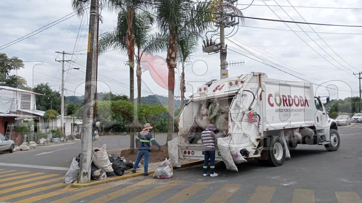Proyecto Eco Renace, comprometidos con el medio ambiente; comenzará en febrero