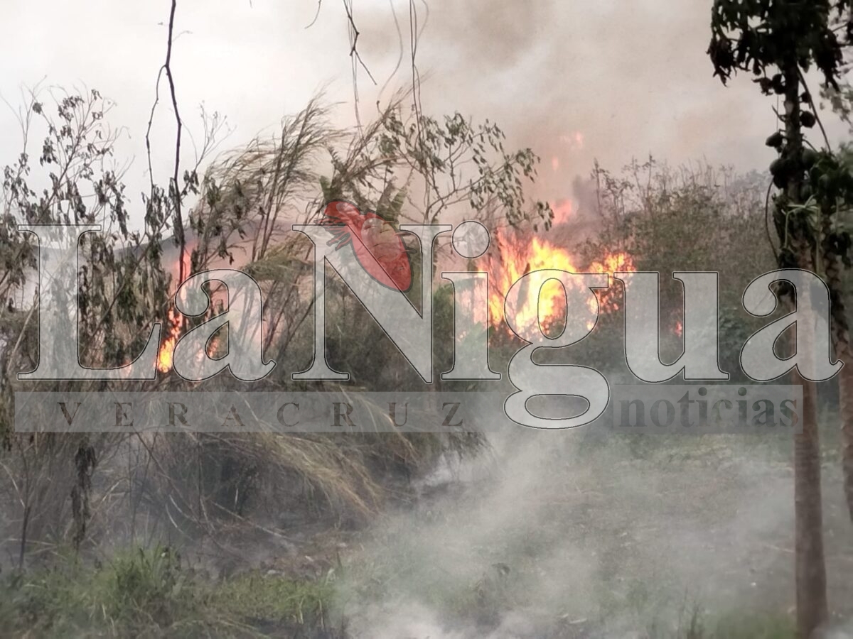 PC y servicios de emergencia controlan incendio de pastizal