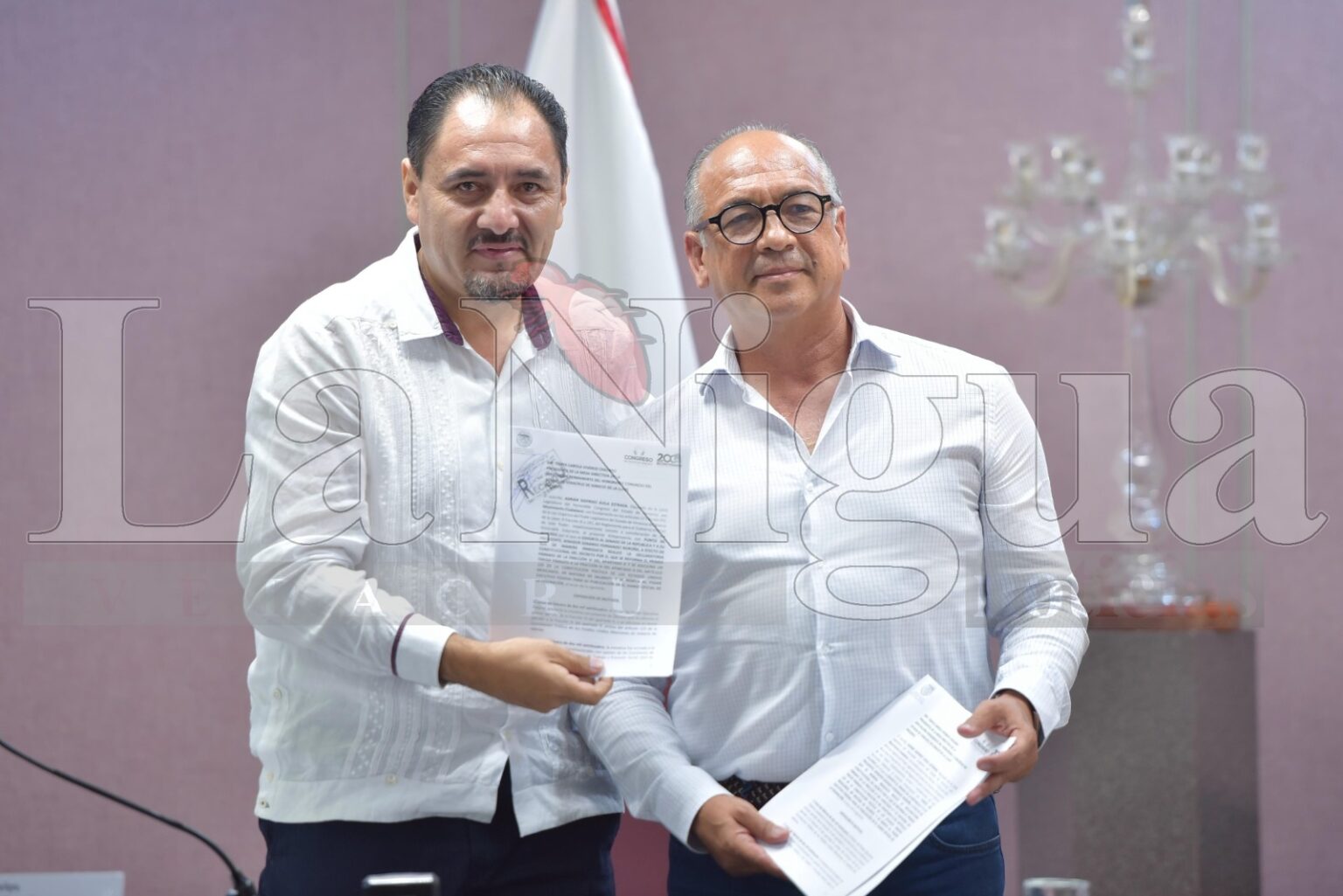 Que Senado emita declaratoria Constitucional en materia salarial, pide diputado