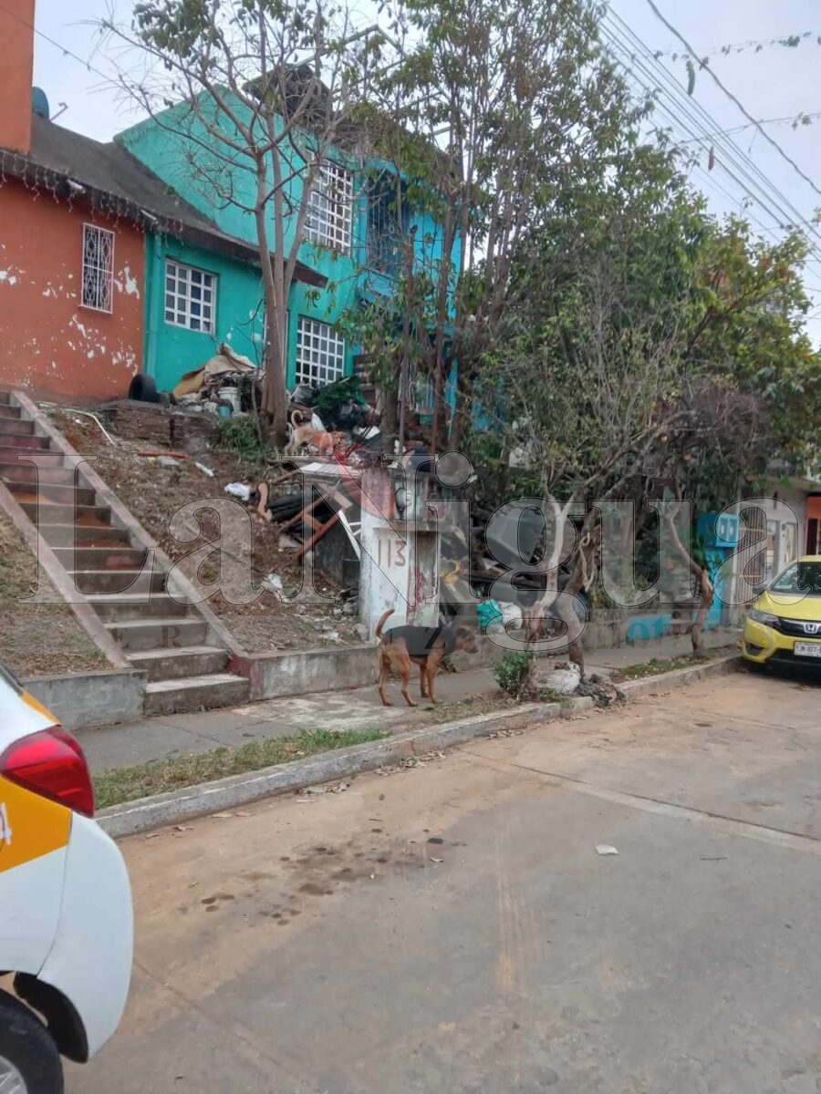 Reportan tiradero de basura afuera de vivienda