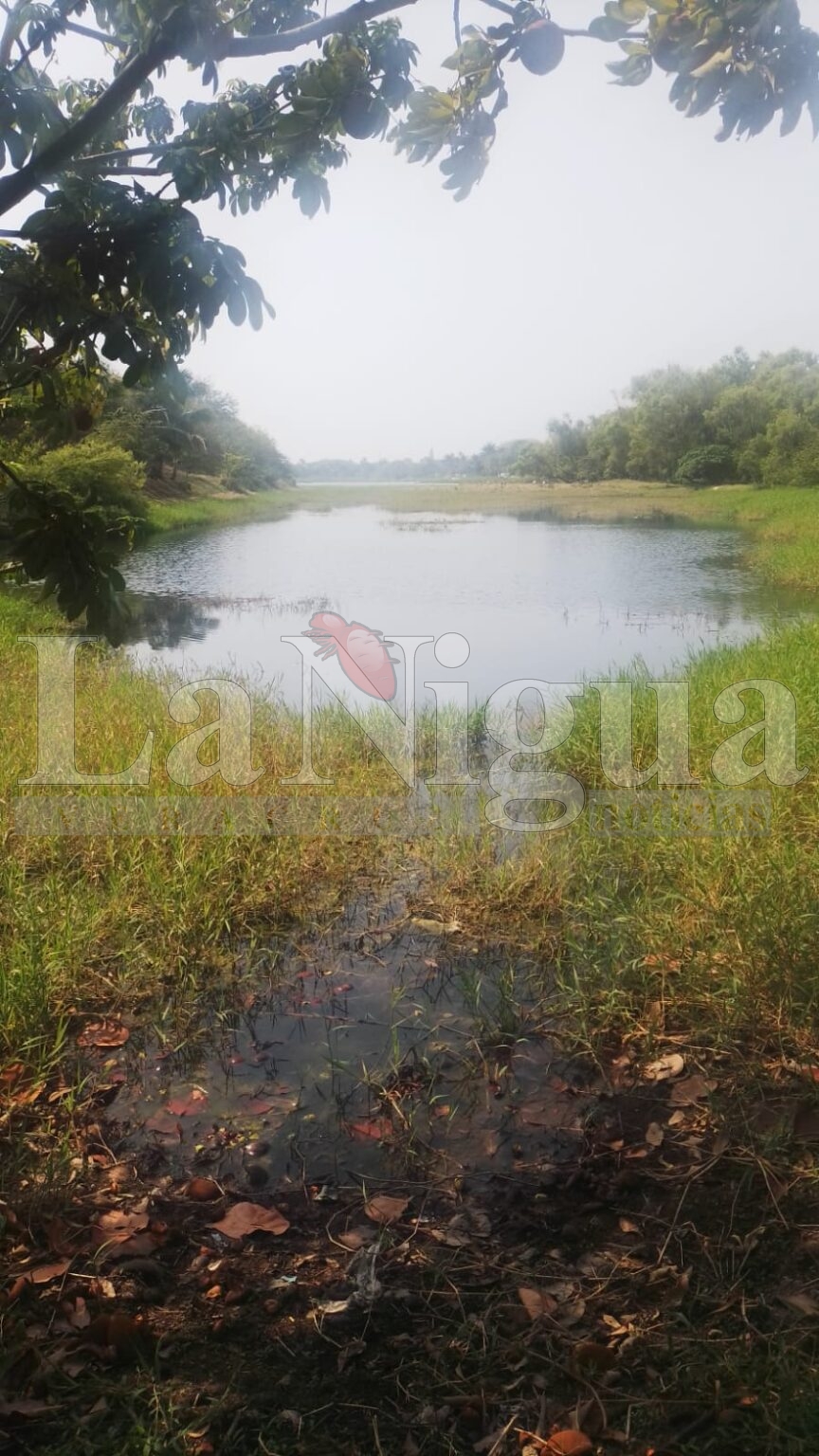 Drenaje vierte aguas negras a laguna de Tarimoya vecinos piden ayuda a PMA