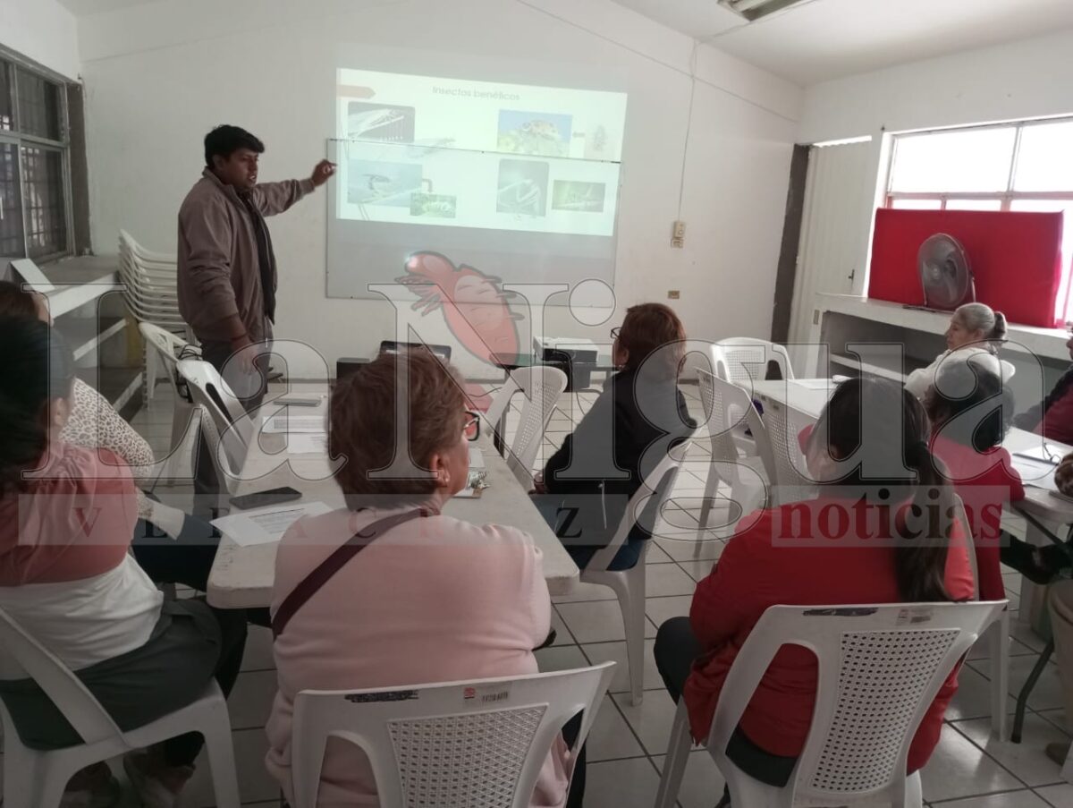 Fomento Agropecuario capacita a cordobeses e impulsa la creación de huertos