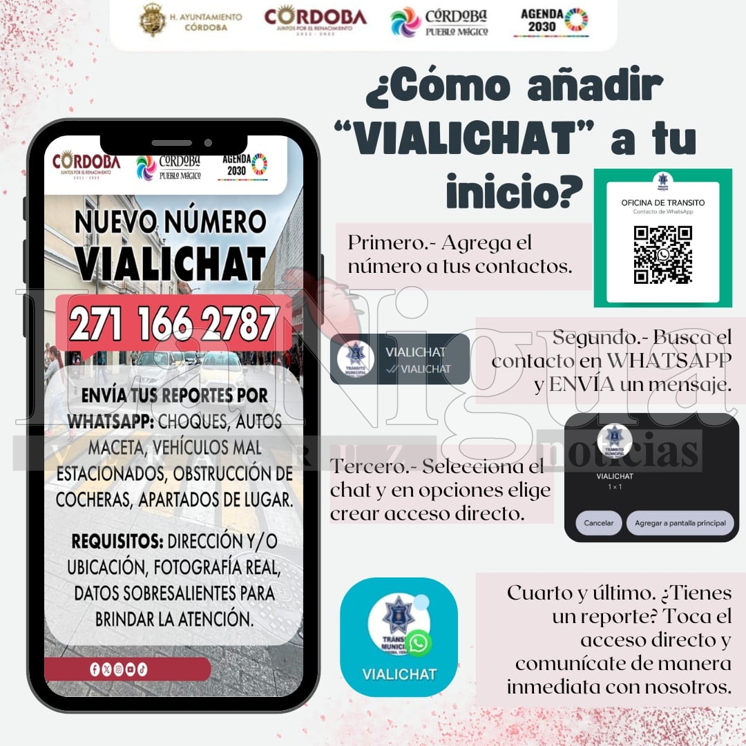 WhatsApp Image 2025 03 02 at 13.19.09