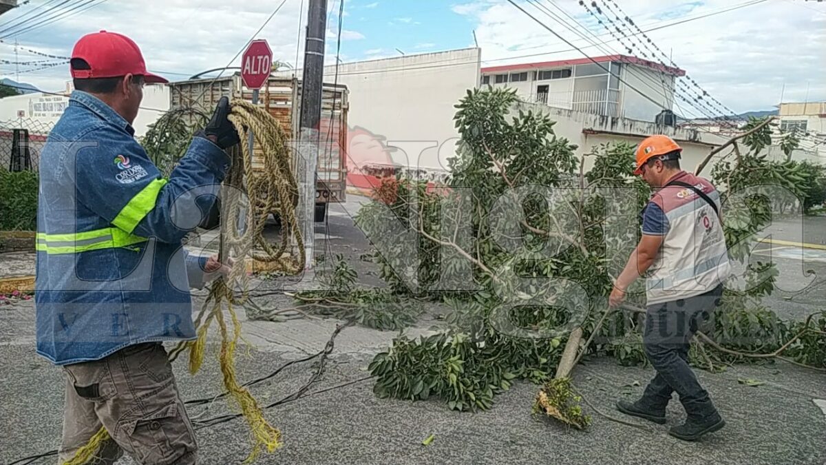 PC reporta sin daños por Surada en Córdoba