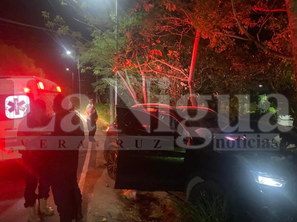 Camioneta se sale de la carretera San Miguel Arcangel-El Manguito y choca contra un árbol 1 img 20250309 wa00099032097407574471452