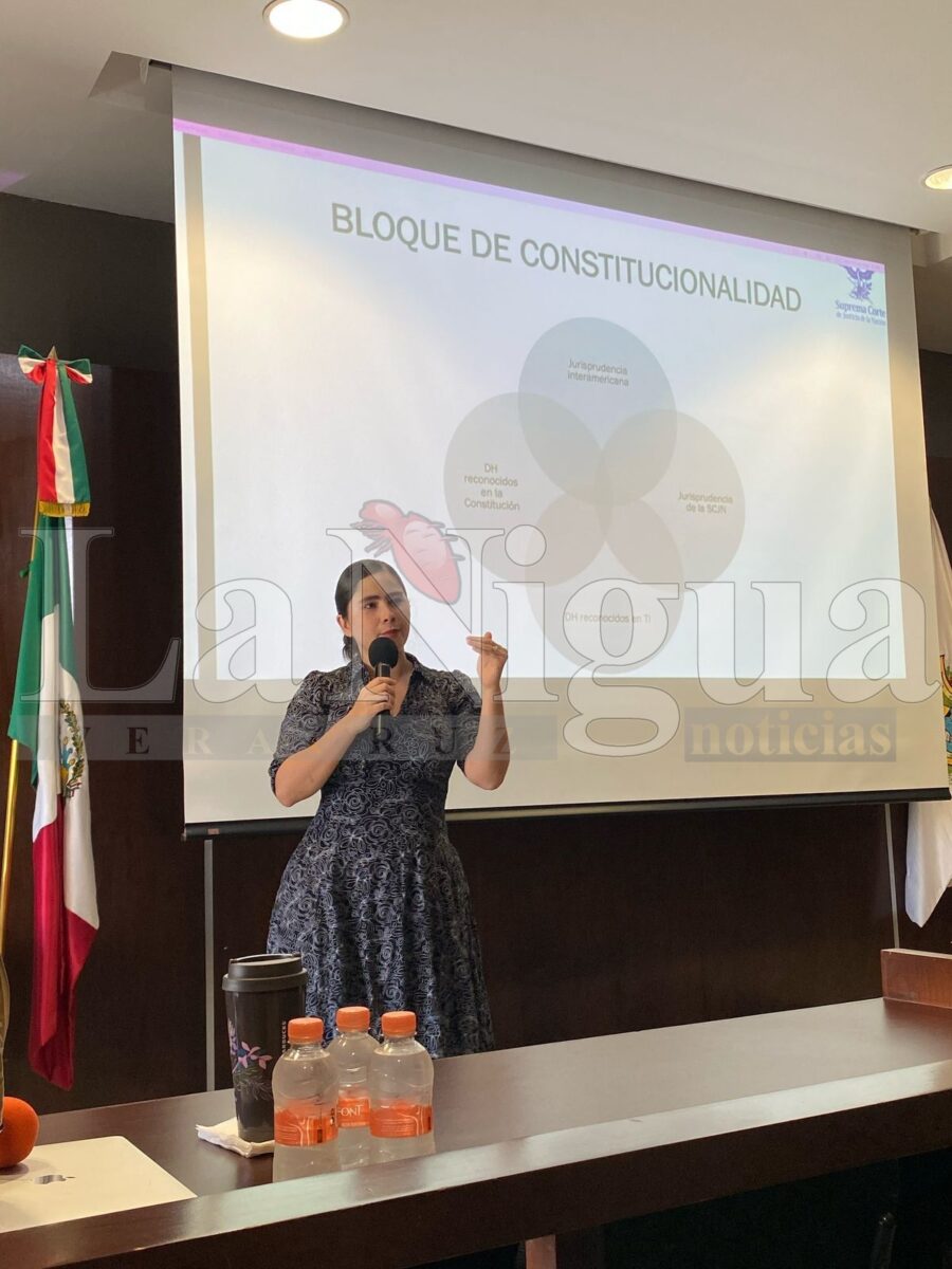 Con Ley Vicaria ya no se revictimizará a madres e infantes de Veracruz: Daniela Suárez 4 img 20250314 wa00438532890852377644207