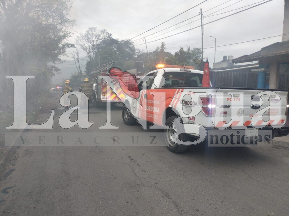 Exhortan a ciudadanos en evitar quema de basura 3 img 20250316 wa00428298887848044649950