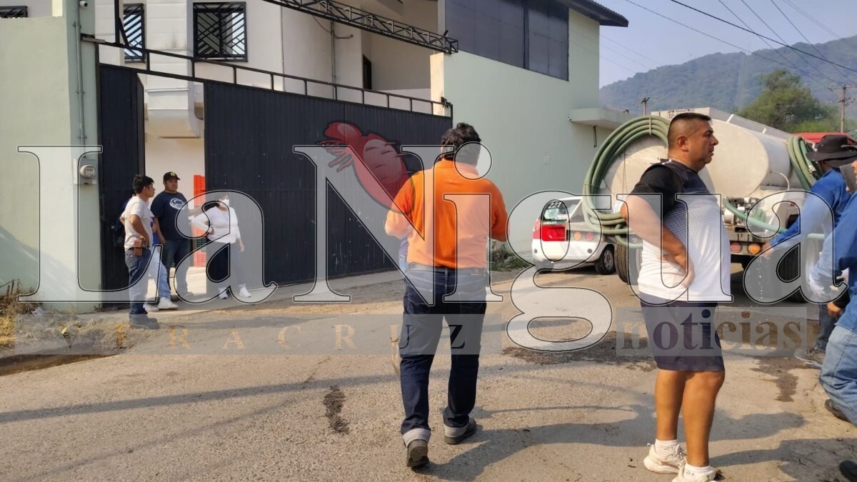 Tras 6 horas controlan incendio en Río Blanco 3 img 20250319 wa03226776411241821566588