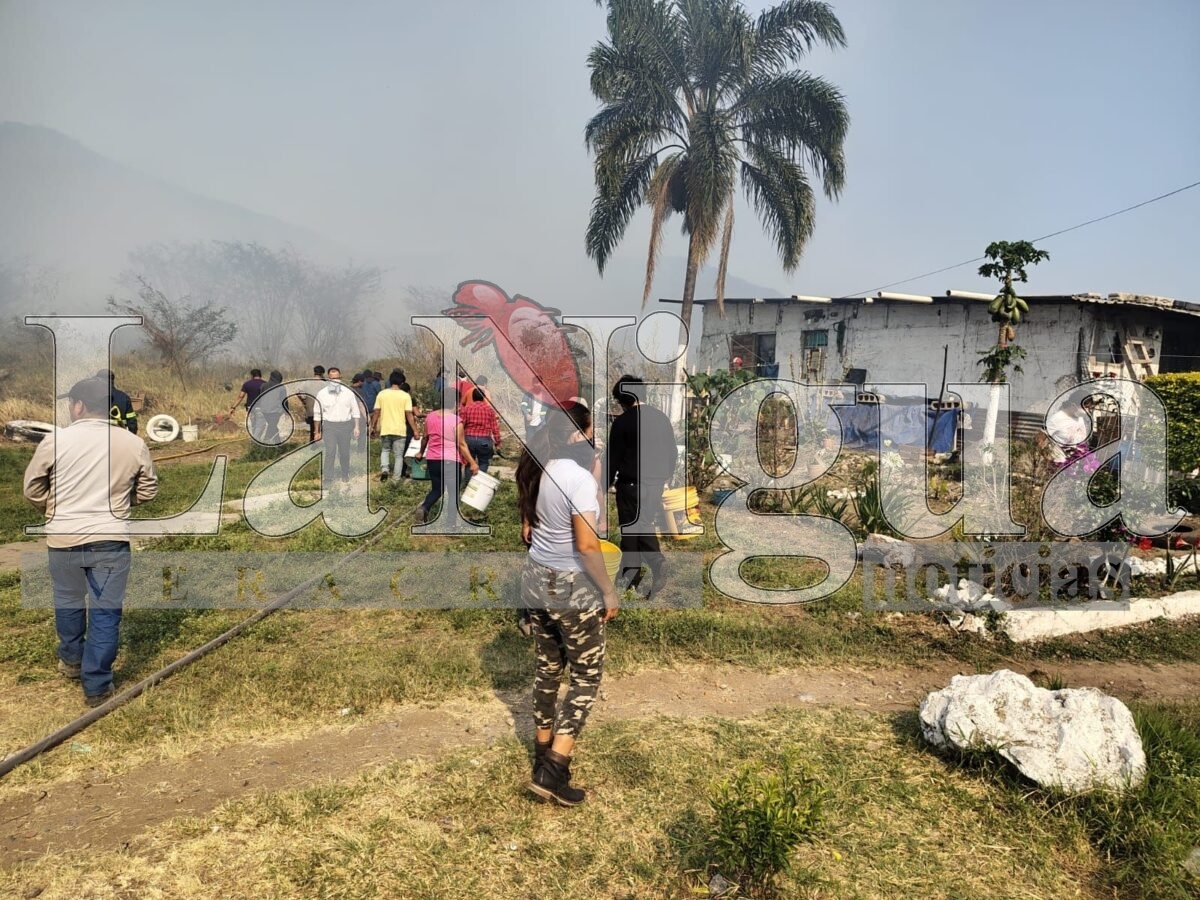 Tras 6 horas controlan incendio en Río Blanco 18 img 20250319 wa03245356307242728798216