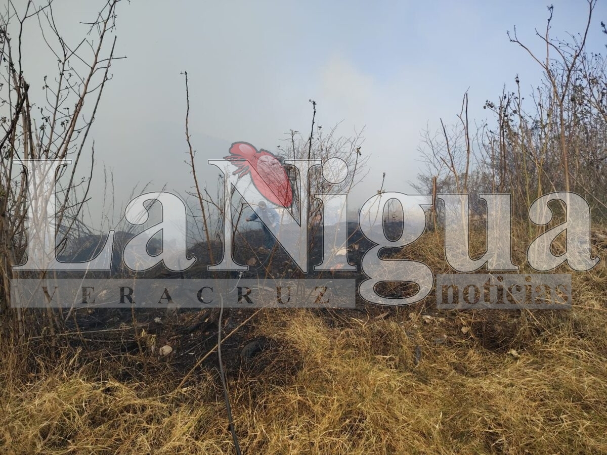 Tras 6 horas controlan incendio en Río Blanco 21 img 20250319 wa03258390424407697576206