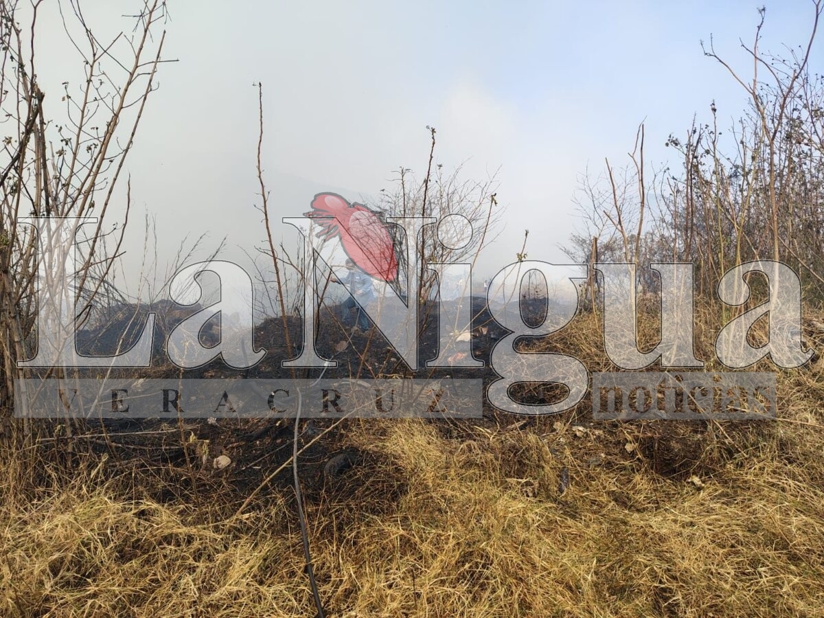 Tras 6 horas controlan incendio en Río Blanco 5 img 20250319 wa03267199037078171685099