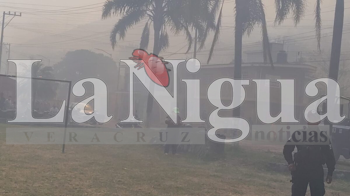 Tras 6 horas controlan incendio en Río Blanco 19 img 20250319 wa03273585406770534329883