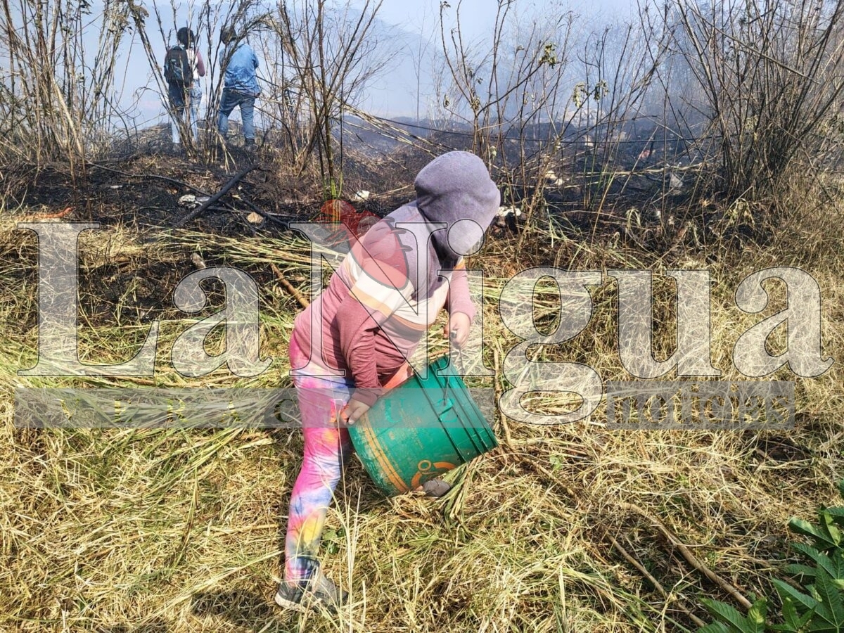Tras 6 horas controlan incendio en Río Blanco 20 img 20250319 wa03287178355838440375836