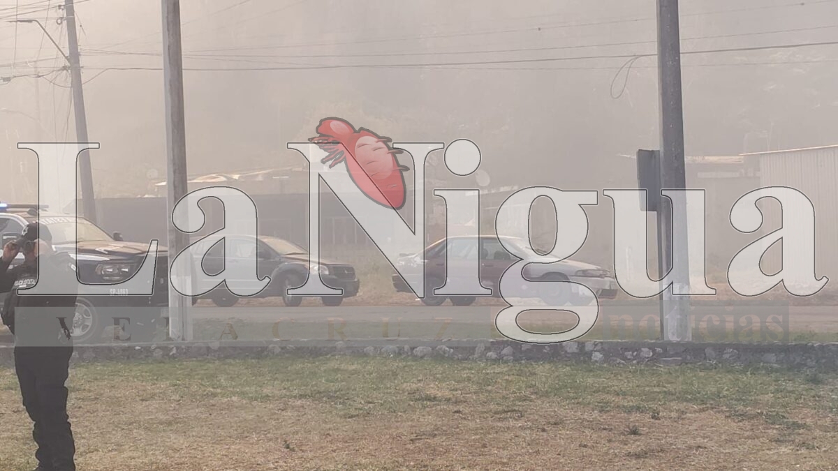 Tras 6 horas controlan incendio en Río Blanco 11 img 20250319 wa03302929643280221028787