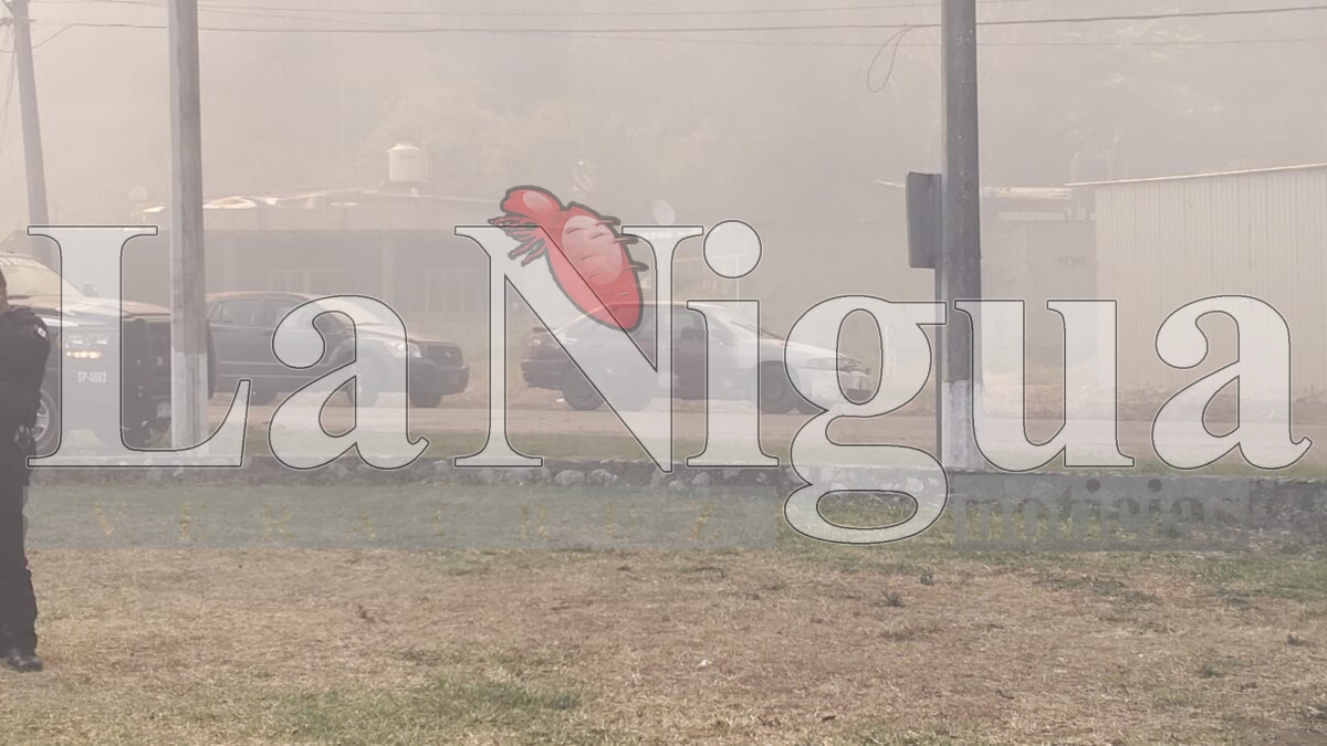 Tras 6 horas controlan incendio en Río Blanco 15 img 20250319 wa03328142774030645626192