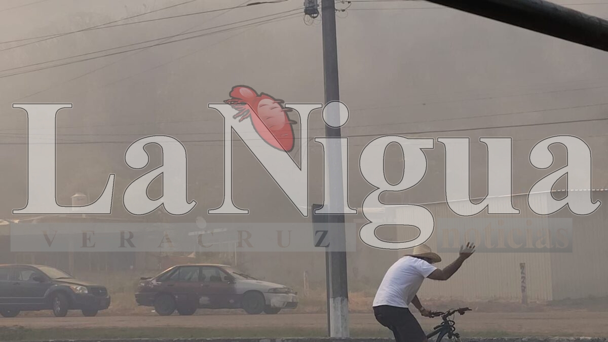 Tras 6 horas controlan incendio en Río Blanco 14 img 20250319 wa03349004723519002514809